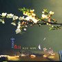 3044am永利(中国)集团官方网站